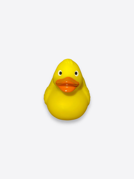 Rubber Duck- wings